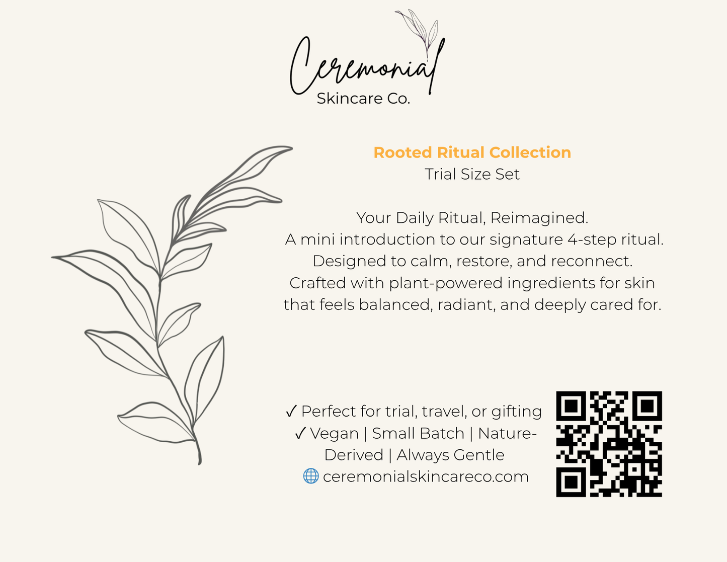 Trial Size Rooted Ritual 4-Piece Collection